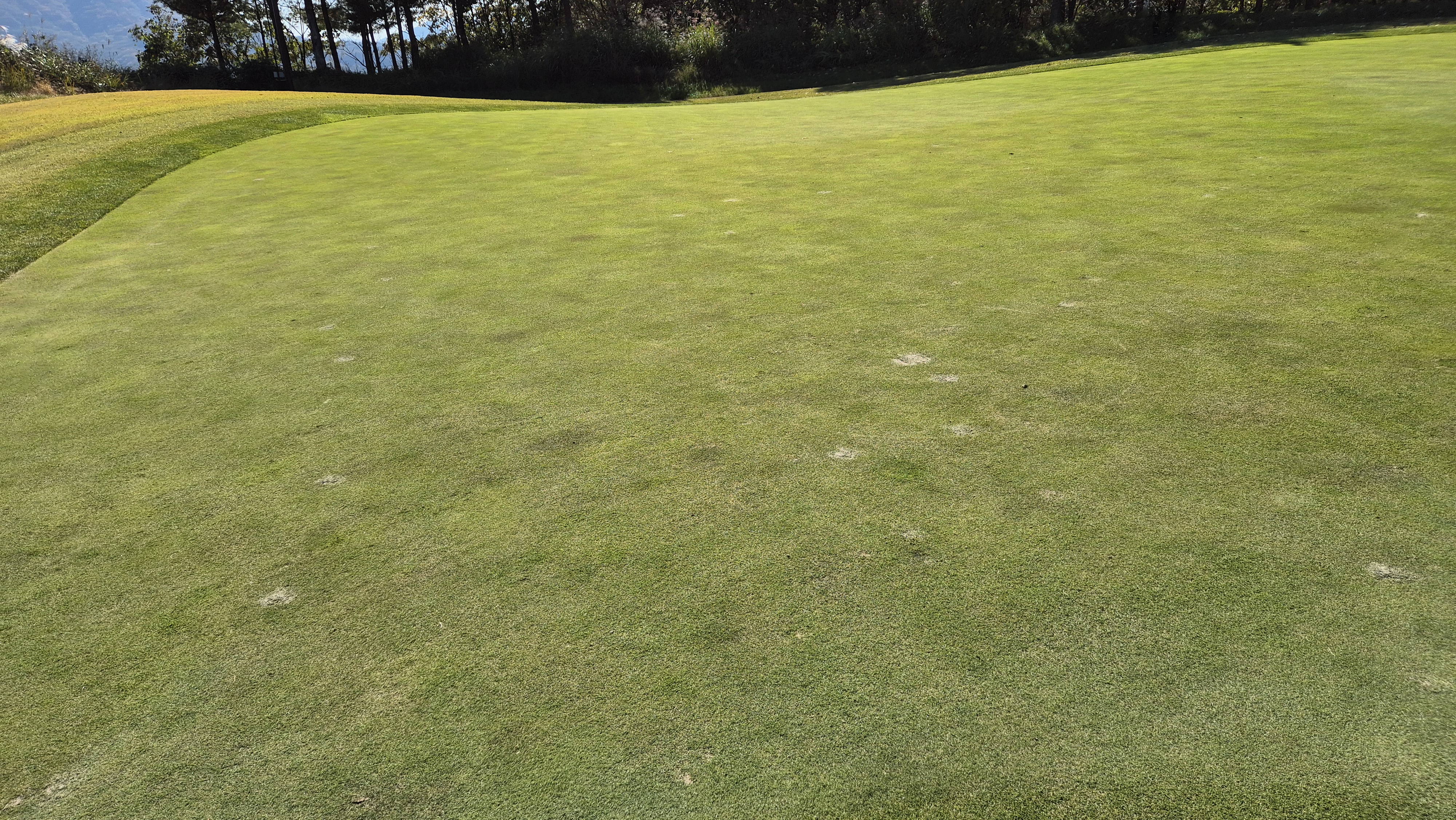 동촌gc 그린관리상태