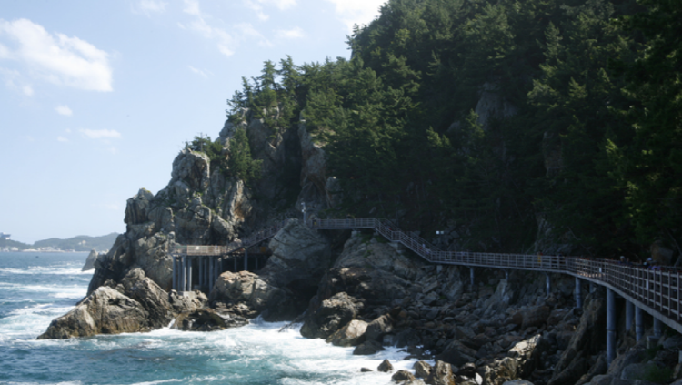 초곡용굴촛대바위길