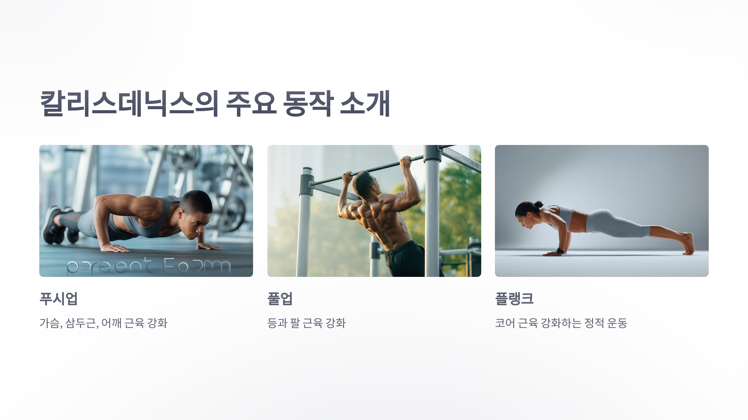 참조-칼리스데닉스-운동-소개-3