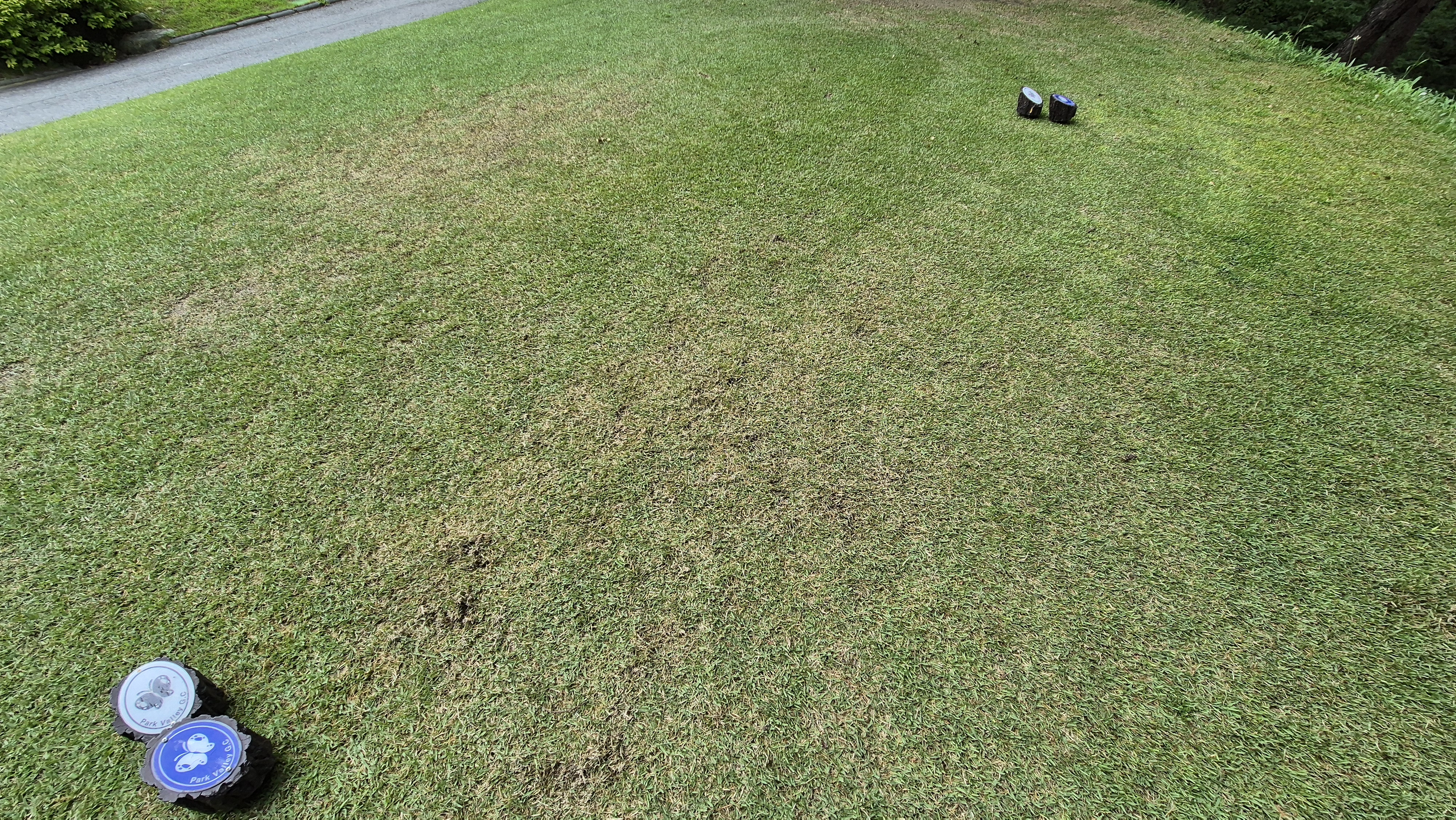 파크밸리gc 라운드 후기