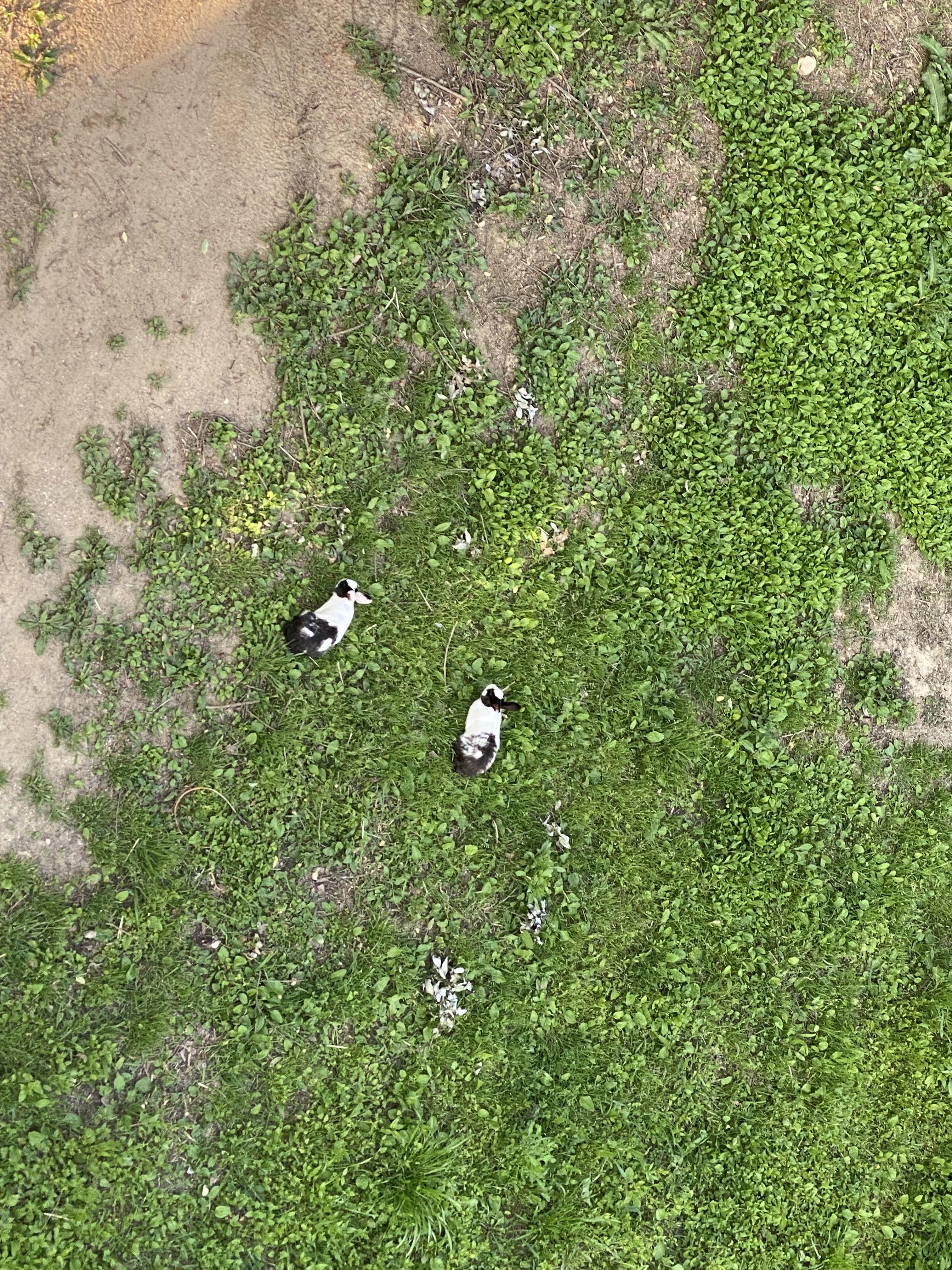 Alt 속성 문제 해결 설명 이미지