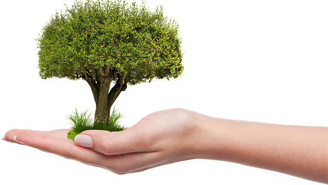 2025년 김장준비! 절임배추 예약하는 방법&amp;#44; 할인&amp;#44; 배송하는 방법