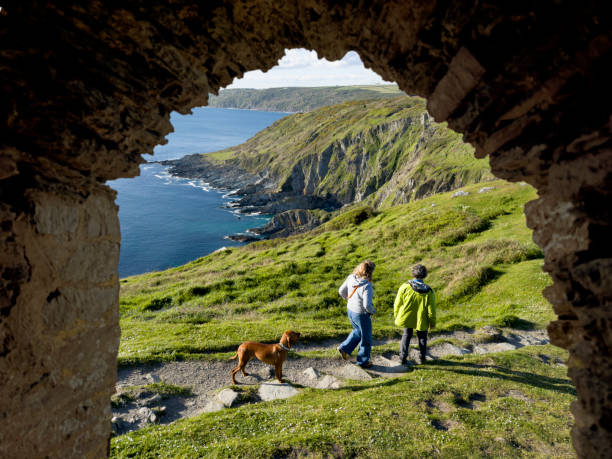 국내 반려동물 여행지 추천