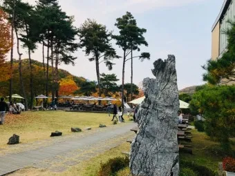 과천 가볼만한곳 카페 추천 맛집 아이랑 여행 코스_22