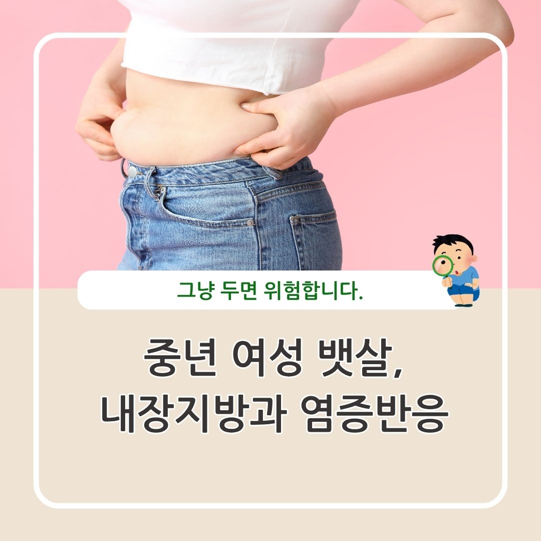 중년 여성 뱃살 내장지방과 만성염증 관리
