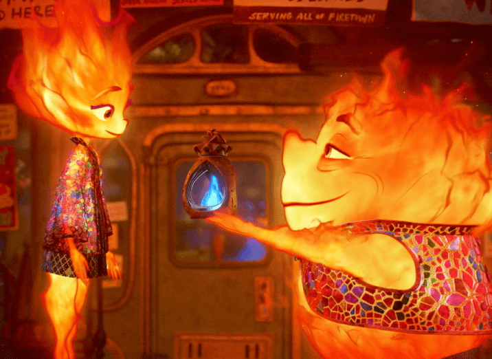 관람 포인트 및 추천 이유