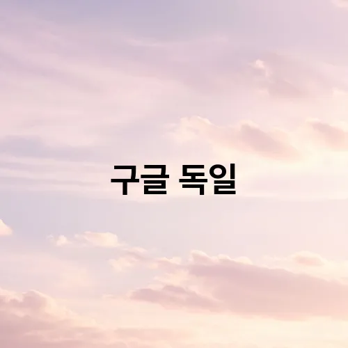 구글 독일