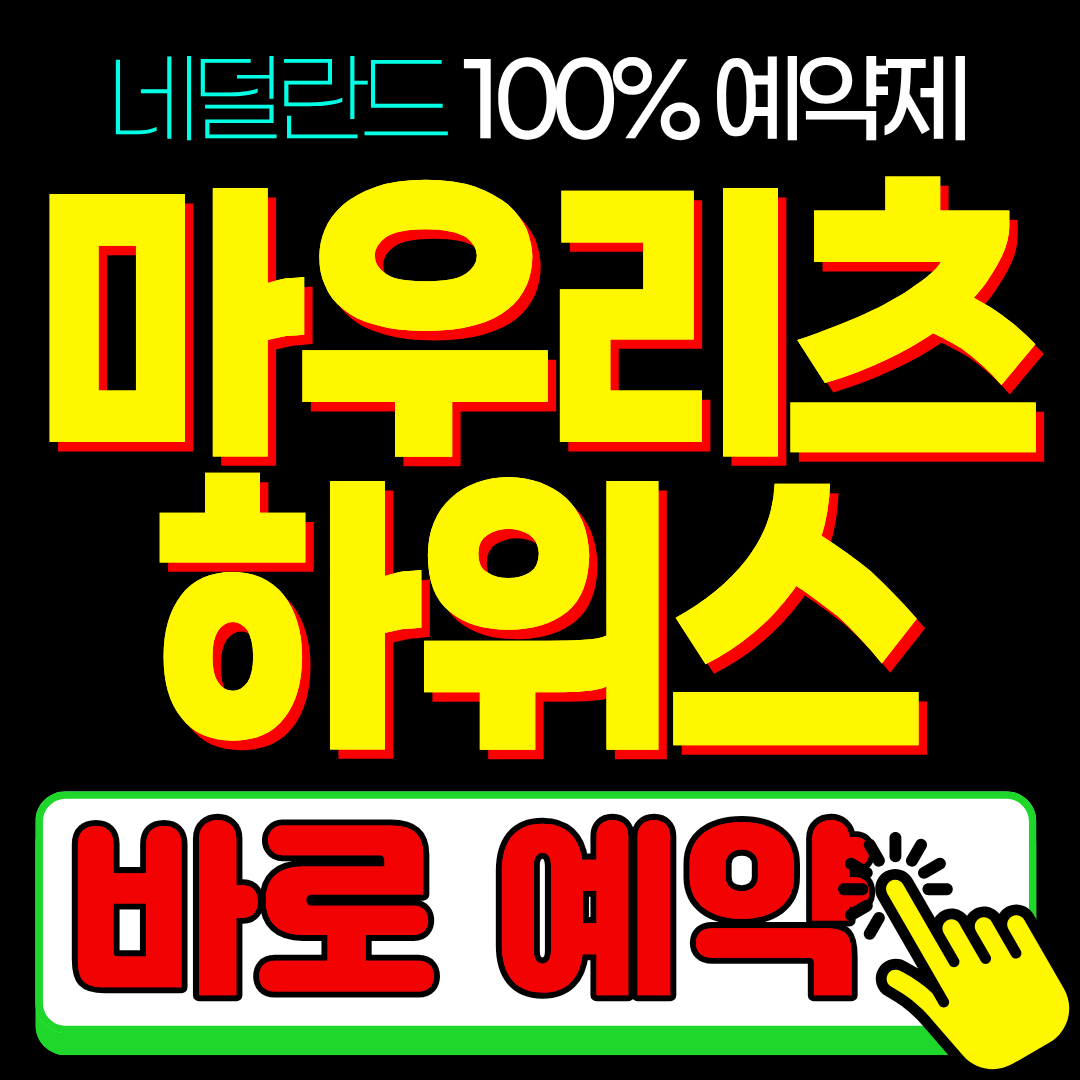 네덜란드 헤이그 마우리츠하위스 미술관 예약