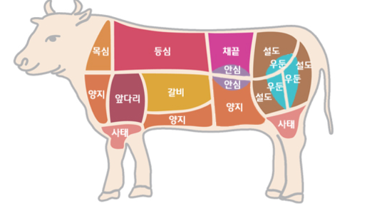 소모양-소고기-부위