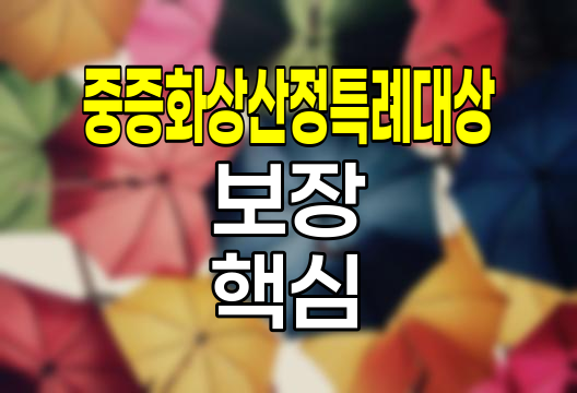 중증화상산정특례대상 보장의 핵심