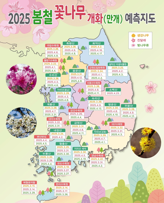 2025년 봄철 꽃나무 개화 예측지도