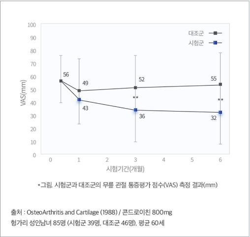 콘드로이친-효능-효과