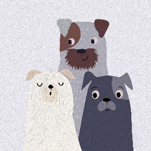 2026년 개띠 일년 운세 &ndash; 신뢰와 책임이 운의 방향을 결정하는 해