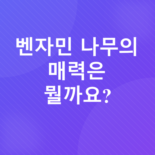 벤자민나무 관리_1