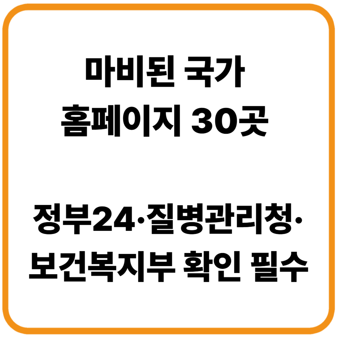 마비된 국가 홈페이지 30곳 / 정부24·질병관리청·보건복지부 확인 필수