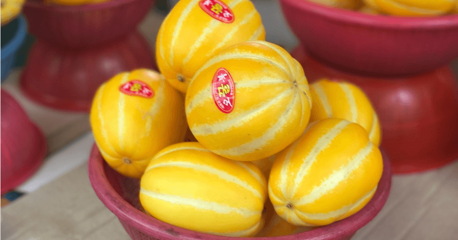 참외 효능에 참외 사진과 그 밖에 사진들 - 1