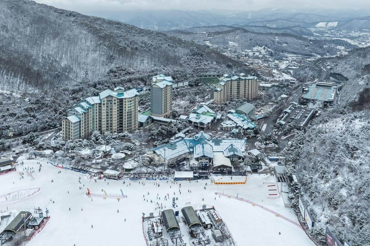 2025-2026 곤지암 리조트 스키장 시즌권 렌탈 할인 완벽 가이드