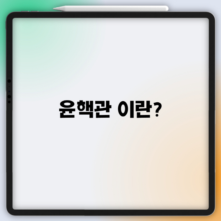 윤핵관