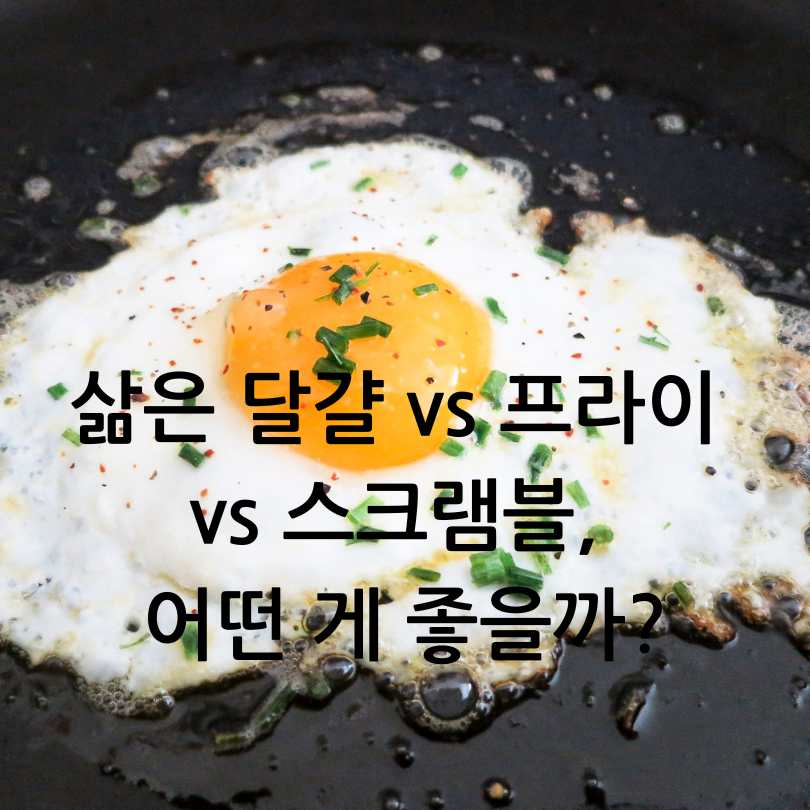 아침에 달걀, 왜 먹는 게 좋을까?