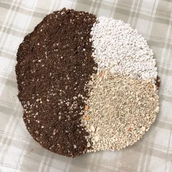 마사토 배합 비율 배수력개선 분갈이기본 시니어도 쉽게_4