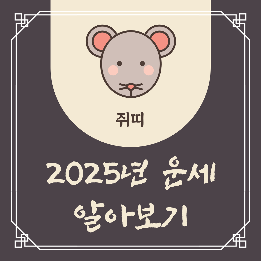 2025년 쥐띠 운세