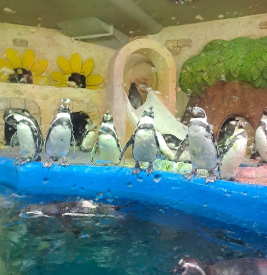 아이와가볼만한곳추천