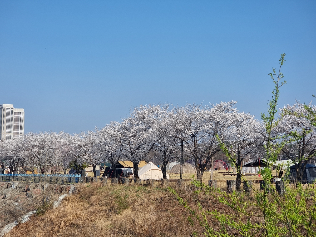 여주 금은모래캠핑장 소개