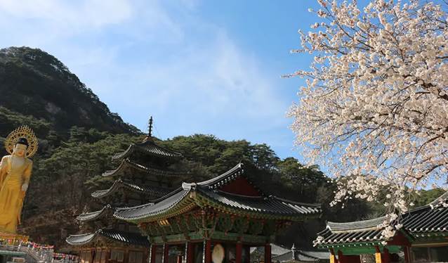 충청북도 보은군 법주사 팔상전