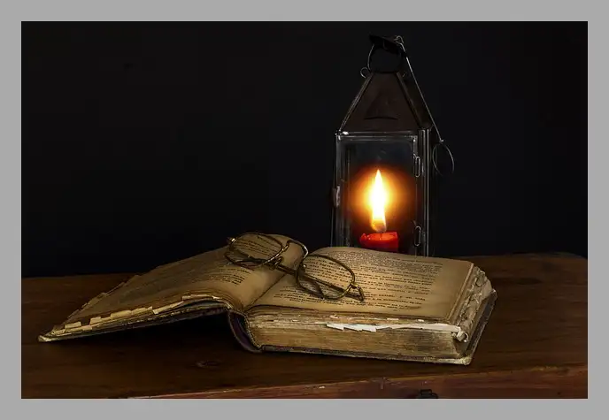 한강 채식주의자