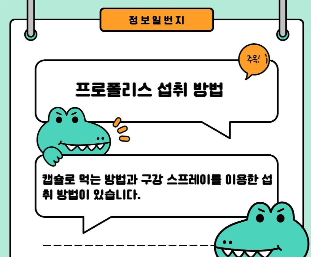 프로폴리스-효능-후기-기관지