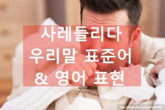 사레들리다 사레걸리다 사래들리다 맞춤법_42