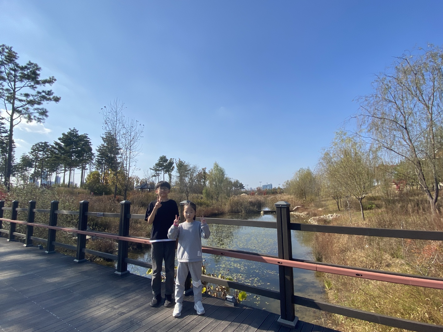 세종 아이와 가볼 만 한 곳 (세종수목원)