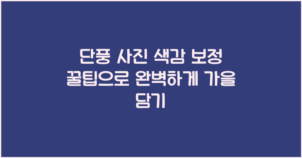 단풍 사진 색감 보정 꿀팁