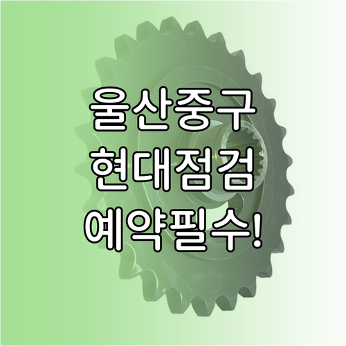 울산 중구 현대자동차 블루핸즈 서비스..