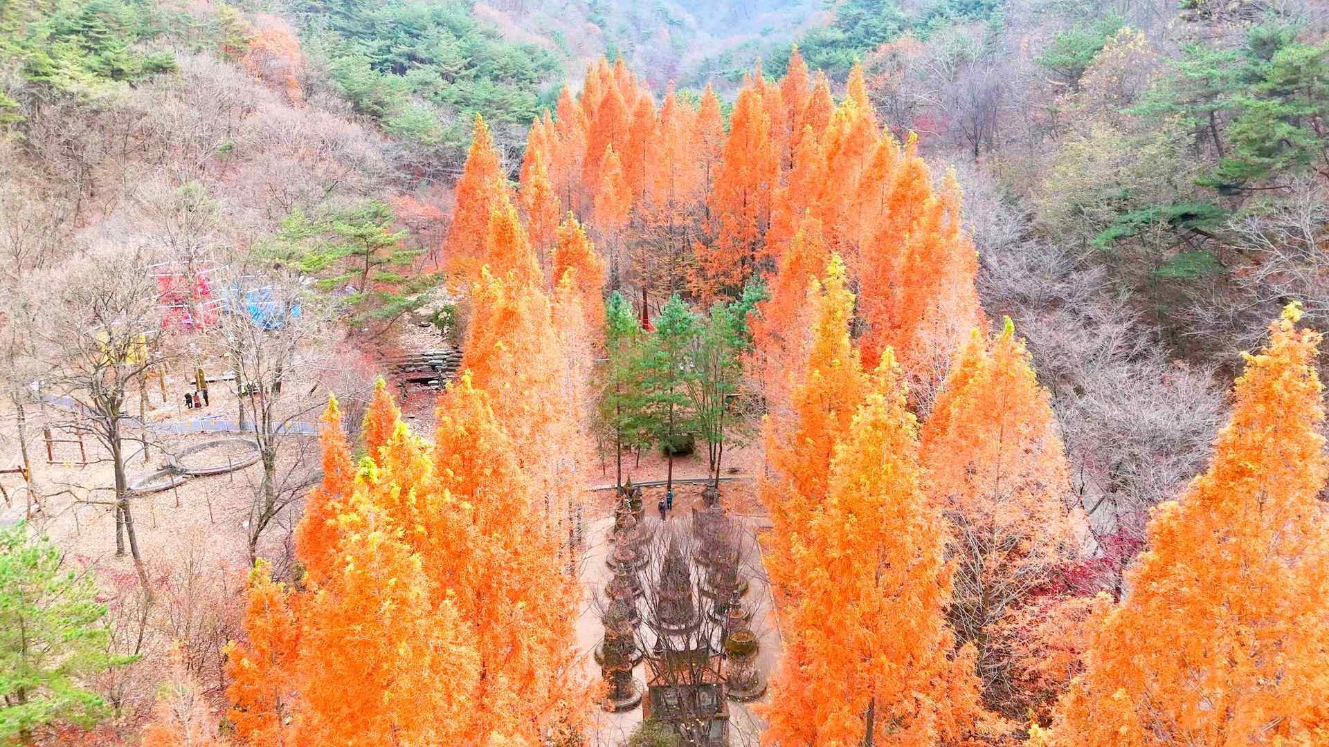 상소동산림욕장