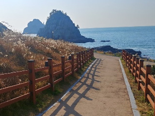 부산 오륙도 스카이워크 가는방법 입장료 주차장-11