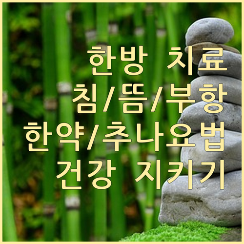 한방 치료의 모든 것: 침, 한약, 