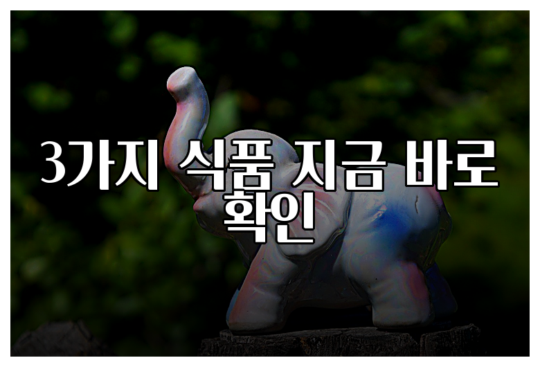 3가지 식품 지금 바로 확인