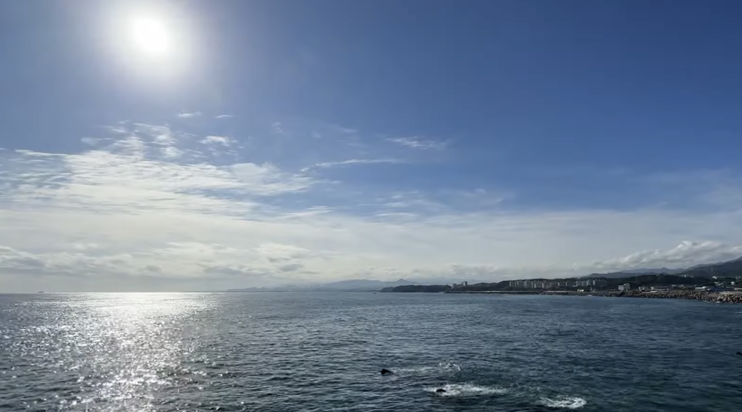 부산 동해선 시간표