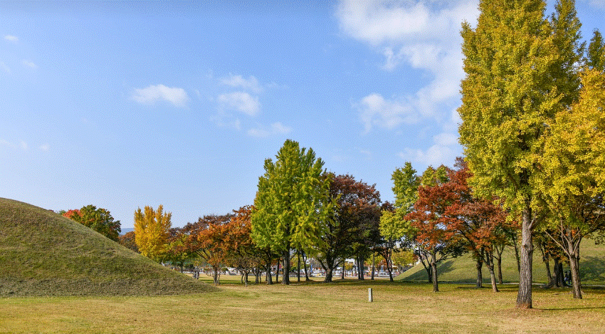 대릉원 풍경 사진
