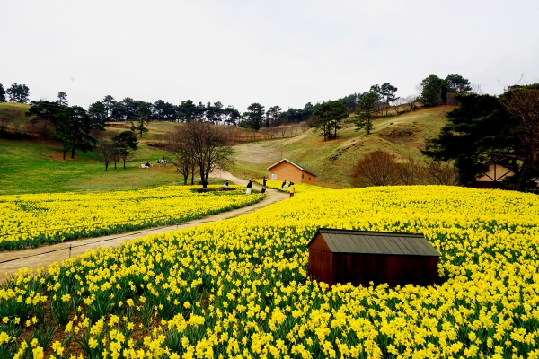 3월 국내 여행지 추천