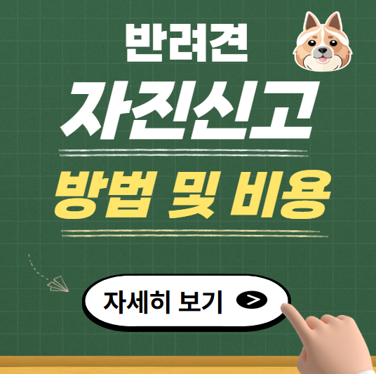 반려견 등록 자진신고 방법 및 비용그리고 과태료
