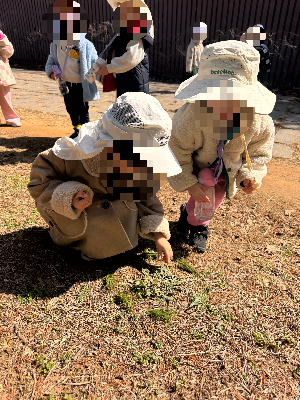 싸움일까, 놀이일까? 거친 신체 놀이 대처 및 지도법