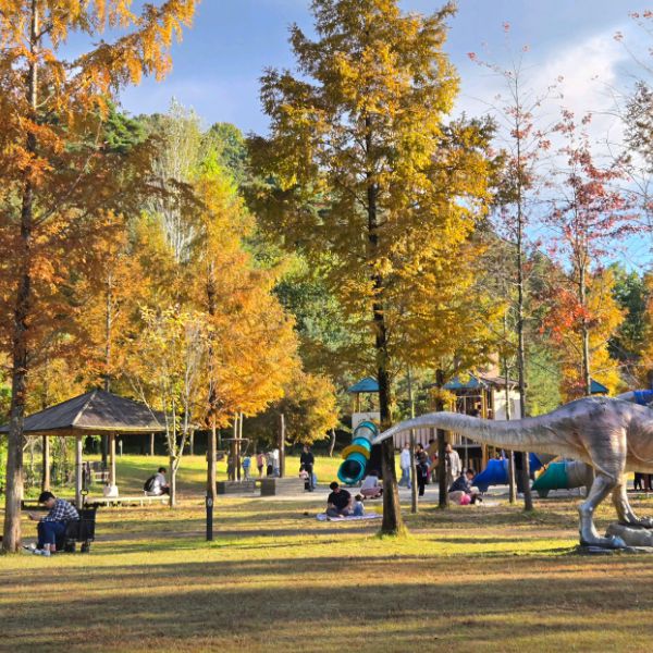 메타세쿼이아랜드 어린이프로방스