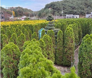태안 추천 관광지 베스트10 관련 사진