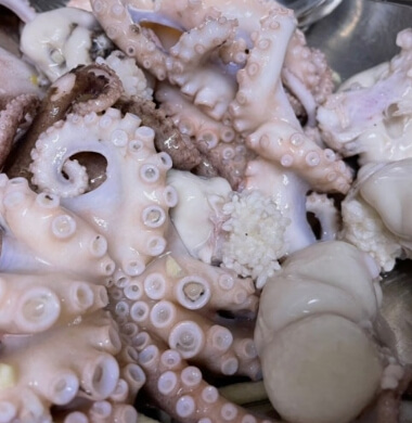 서천 동백꽃 주꾸미축제