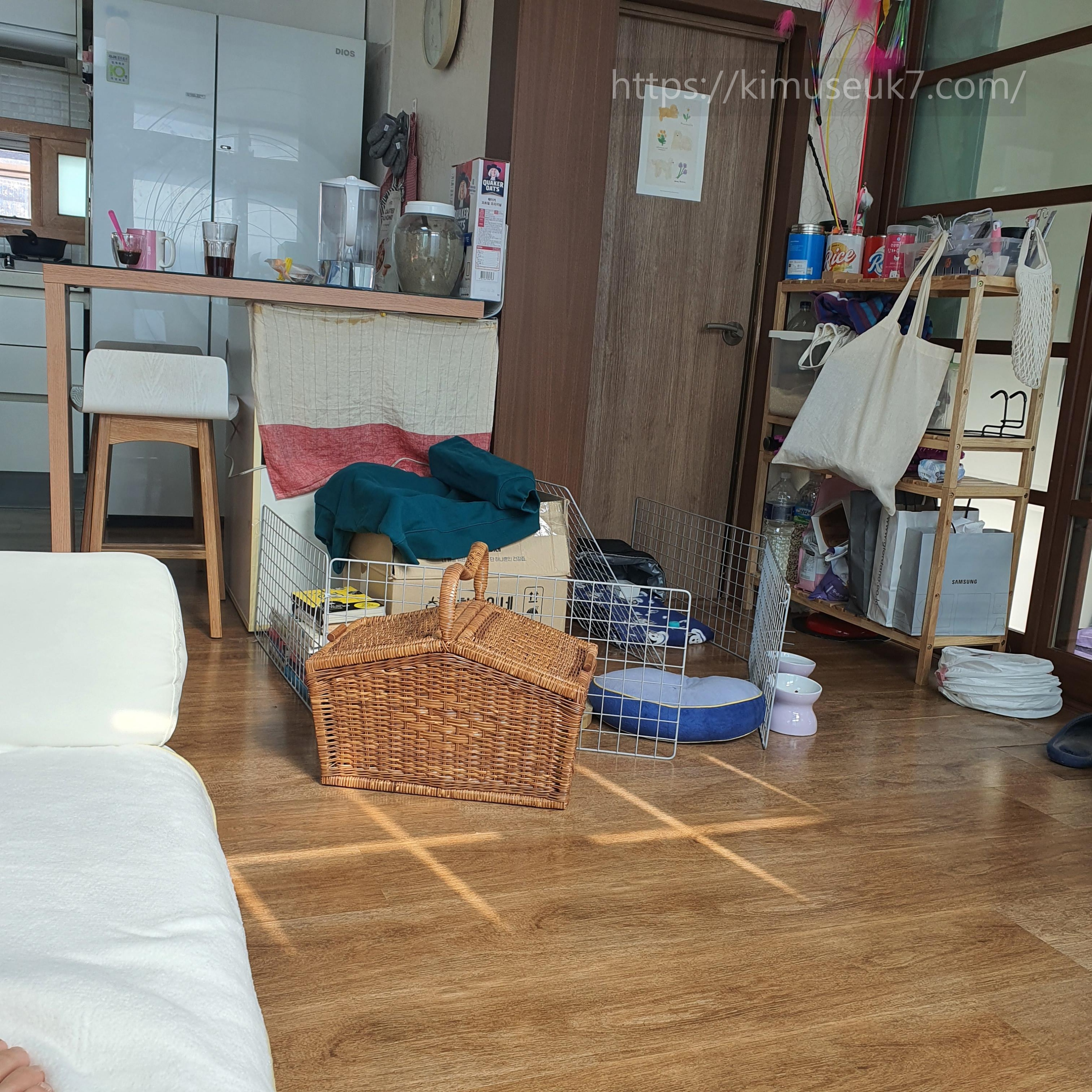 선택을 맡길 수 없었던 공간과 보호자의 개입