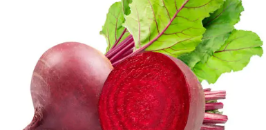 비트 효능, 섭취법, 주의사항 총 정리 (2025 최신)