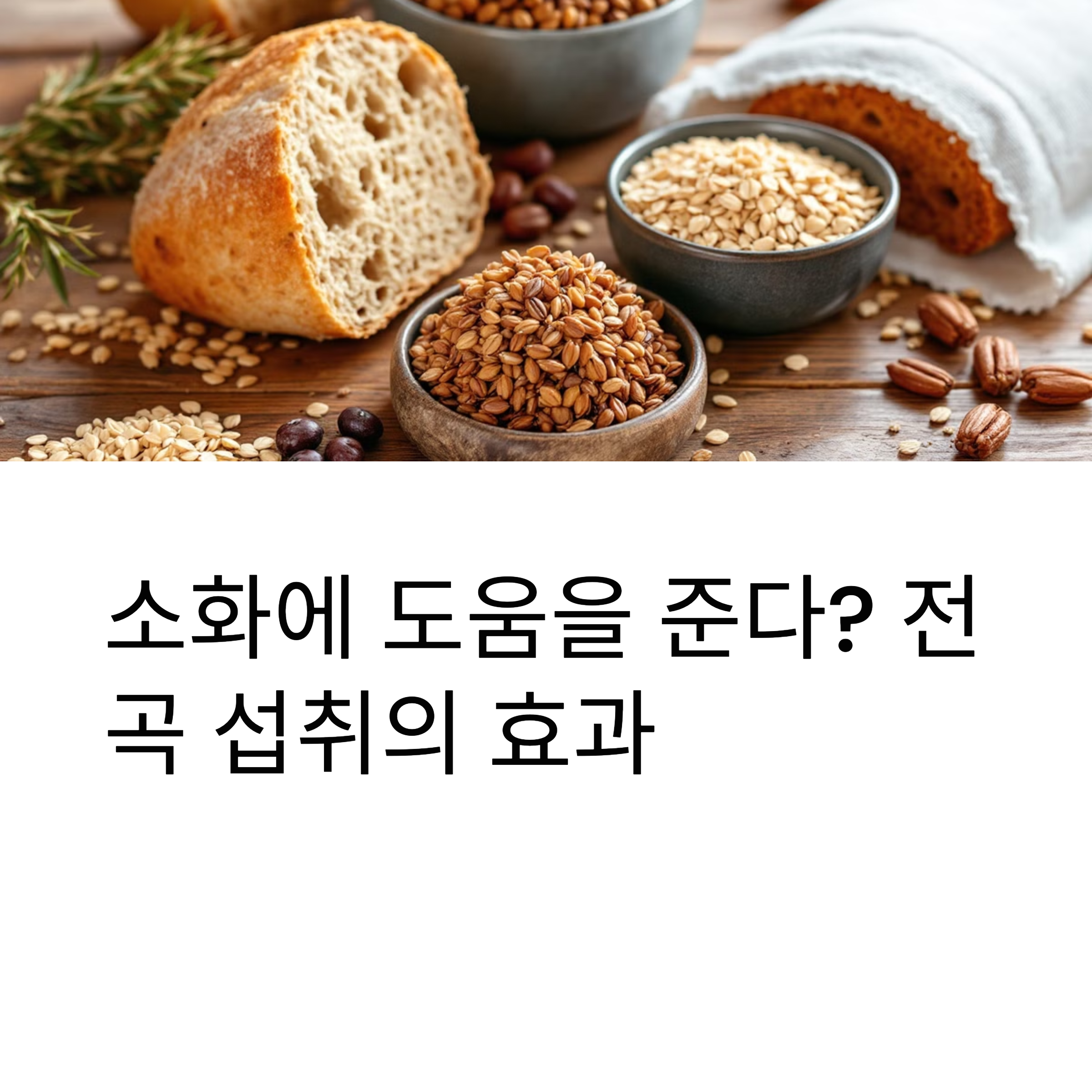 소화에 도움을 준다? 전곡 섭취가 소화 건강에 미치는 영향