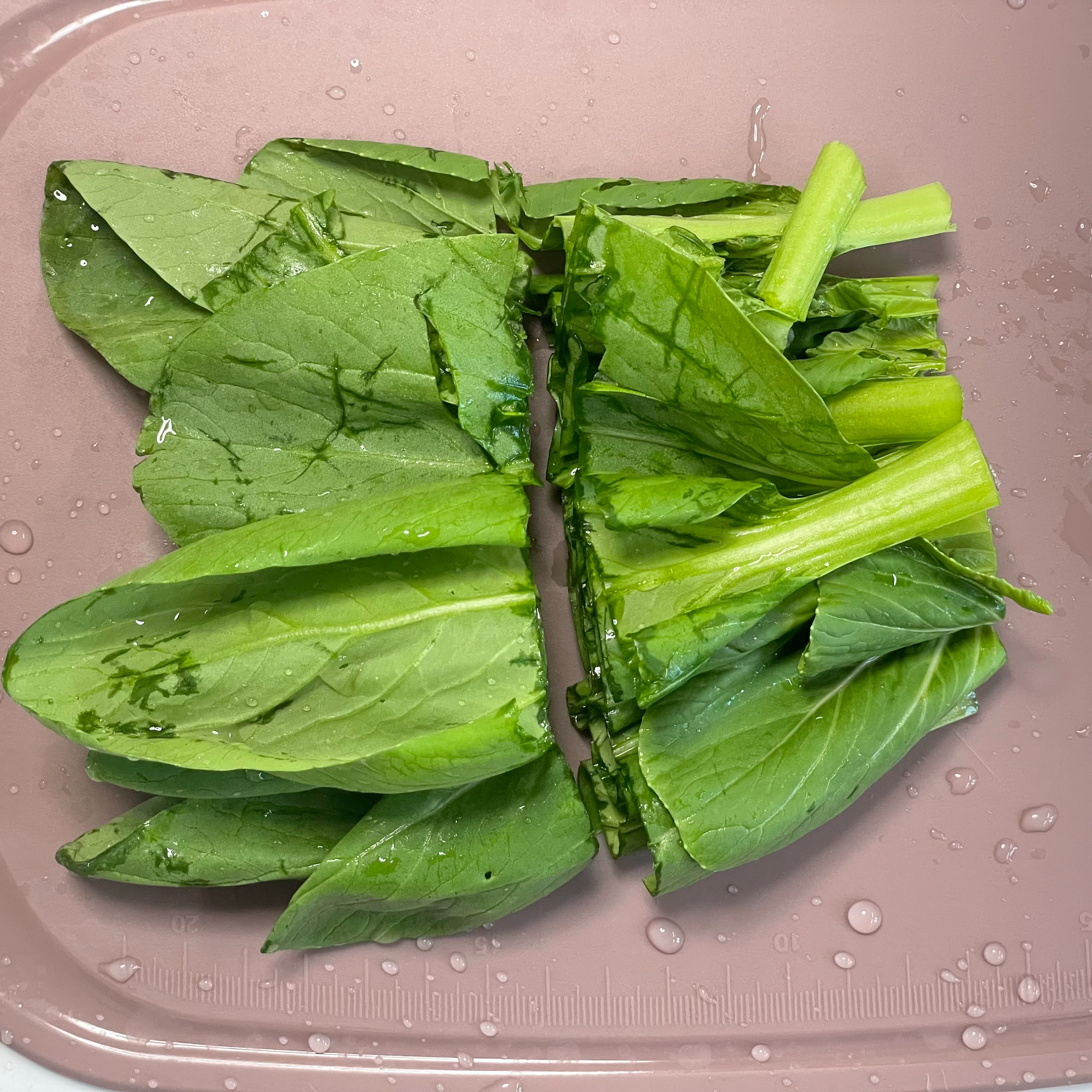 토핑 이유식 청경채 큐브